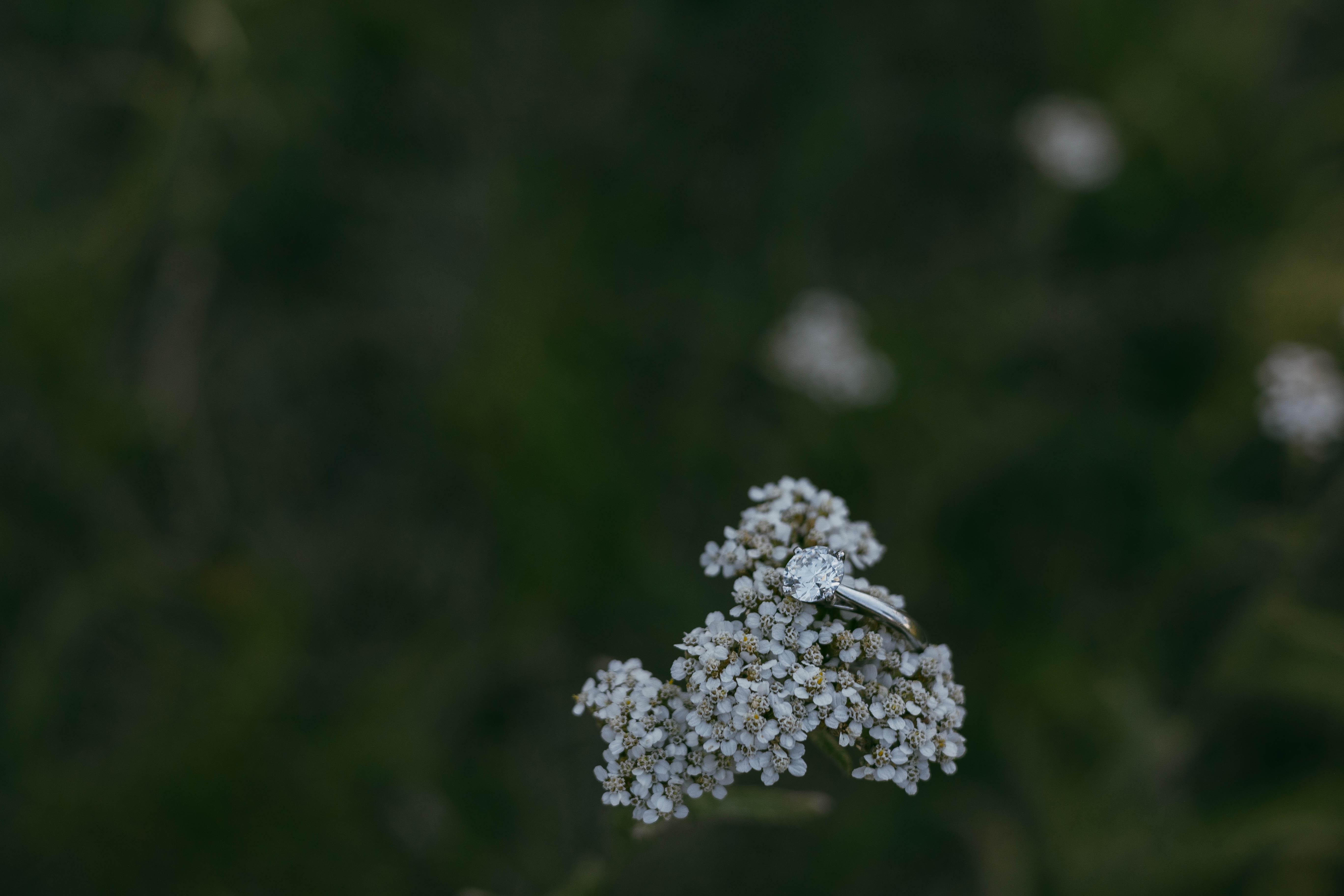 The Wedding Website of Victoria Schroeder and William Rich