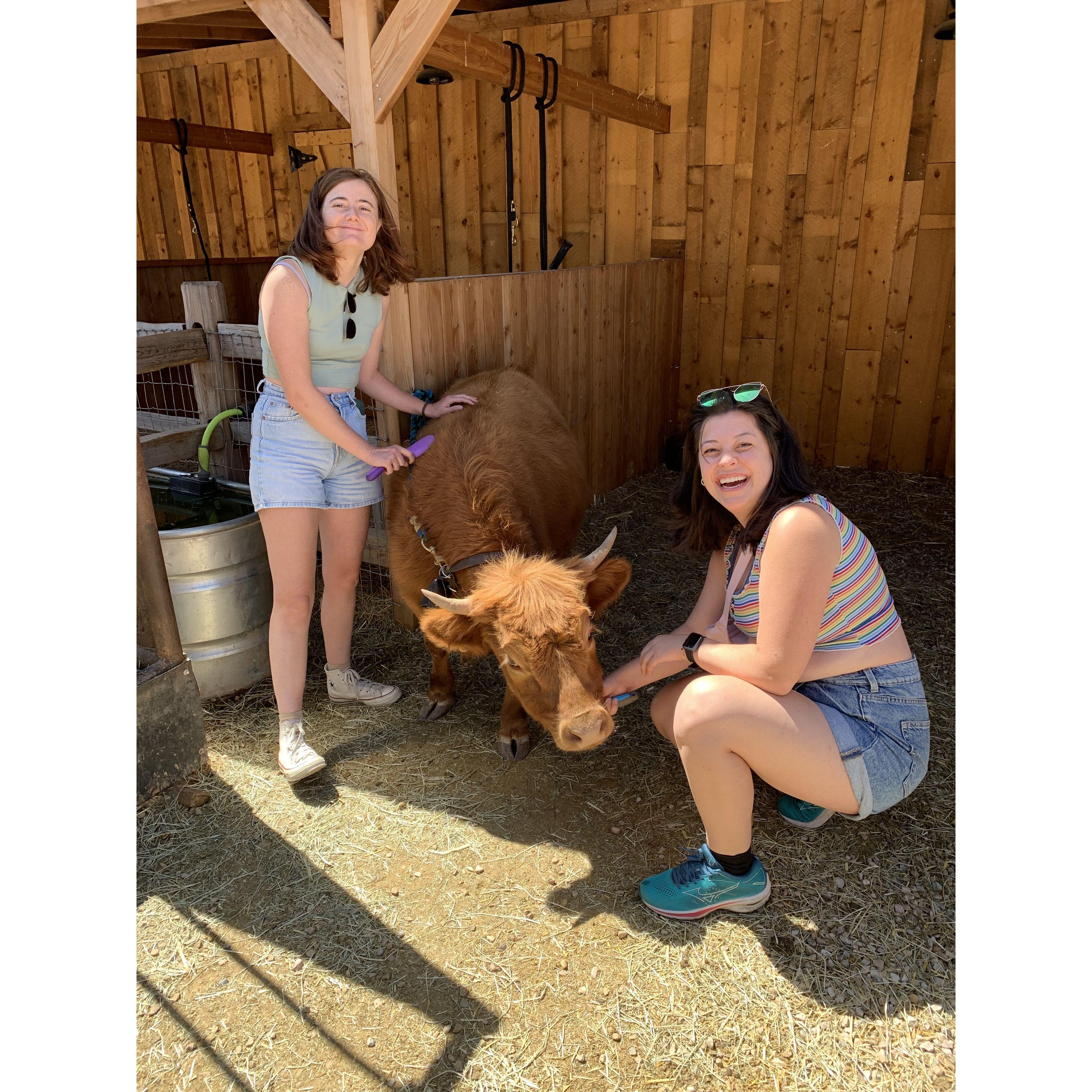 Best birthday present Juniper ever gave Hannah