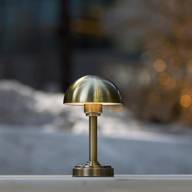 アンチモニー オートマタ バタフライ オルゴール Adesso, Ollie LED Cordless Table Lamp | Zola