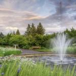 Minnesota Landscape Arboretum