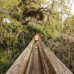 Myakka River State Park Big Flats Campground