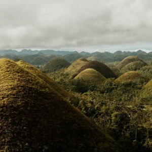 Tour of Chocolate Hills in the Philippines