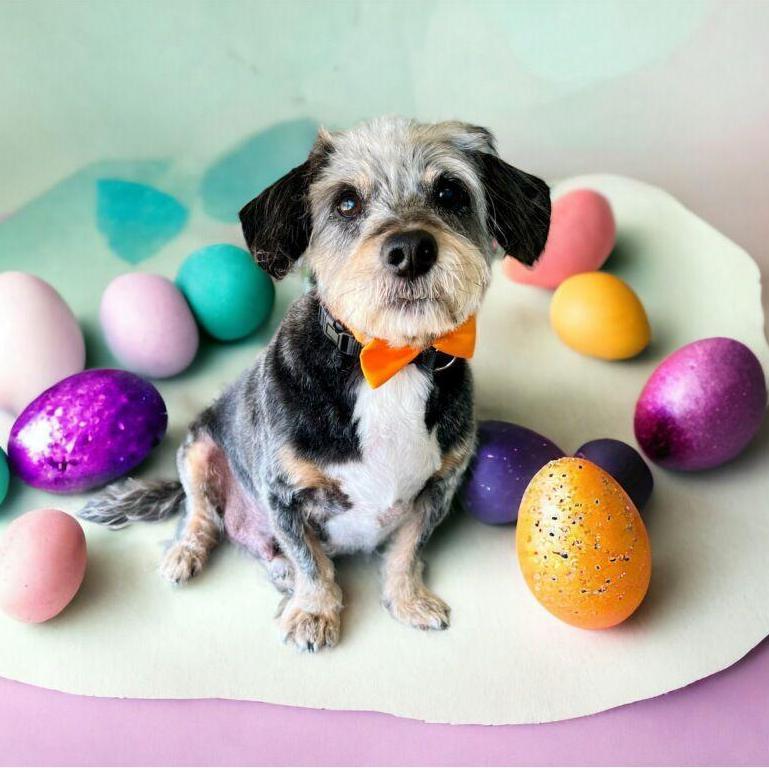 Mr. Steve Gleason Zottoli, Spring 2024