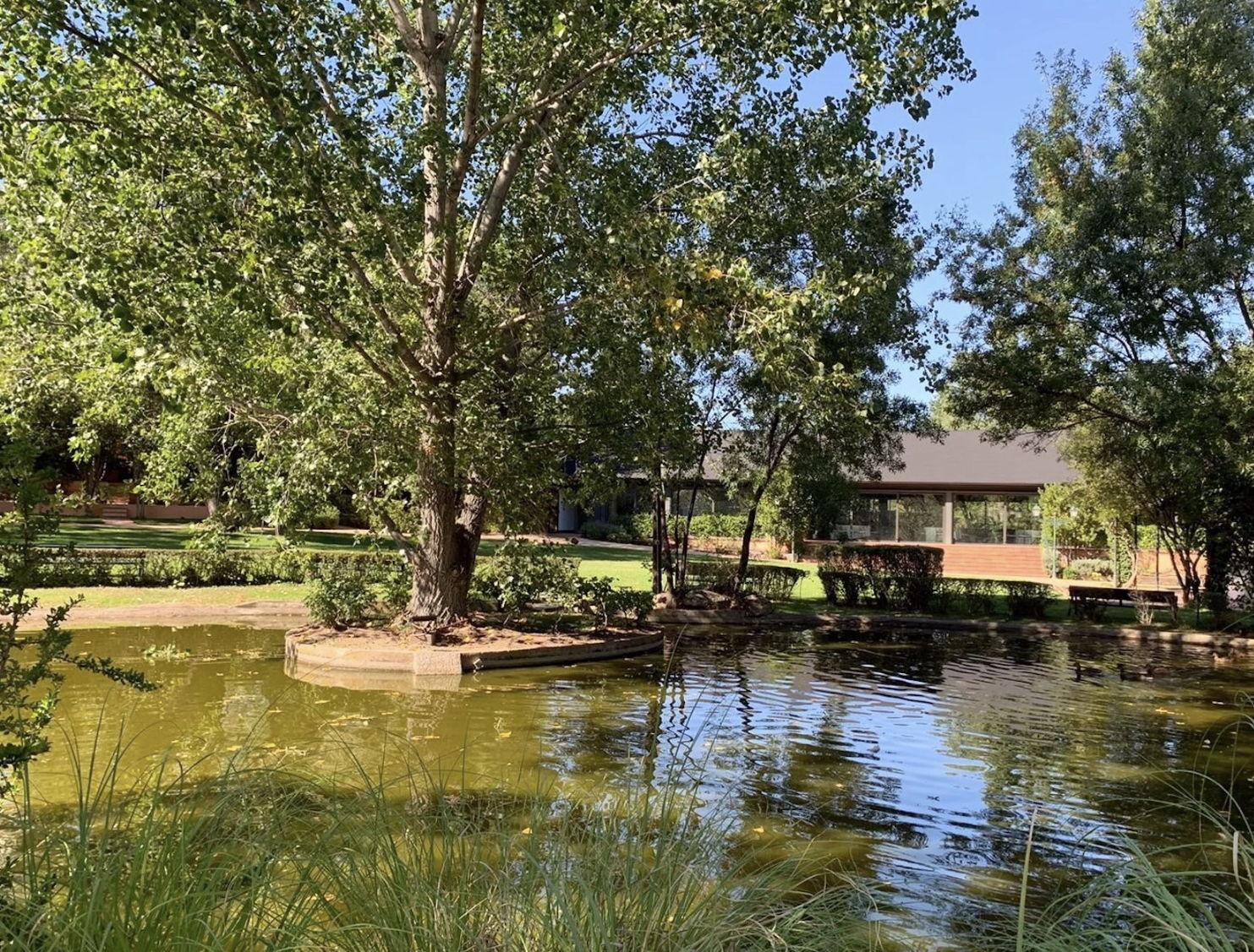 The Wedding Website of Alessandra Paparoni and Francisco Gimón