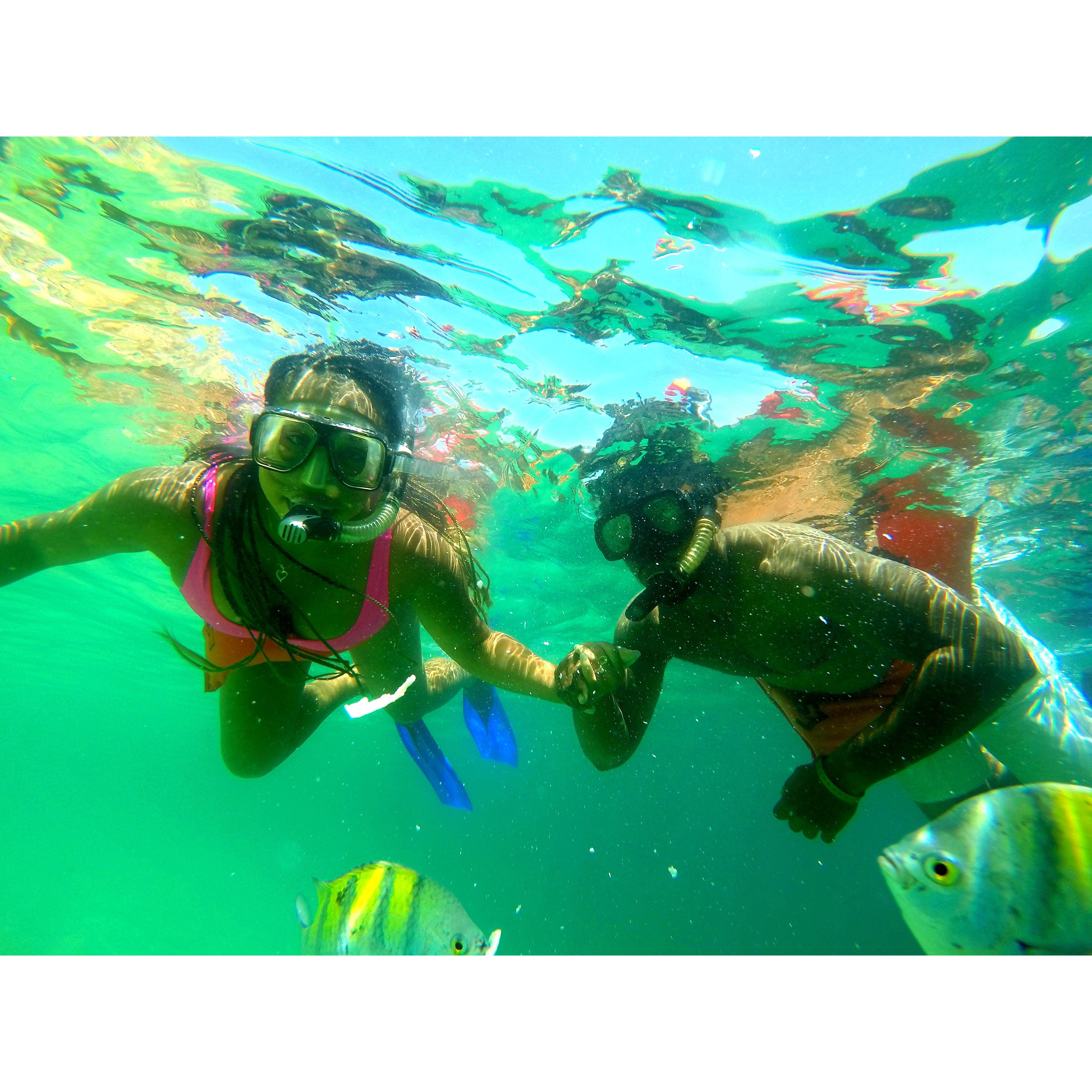 Snorkeling in Cabo, Mx