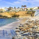 La Jolla Cove