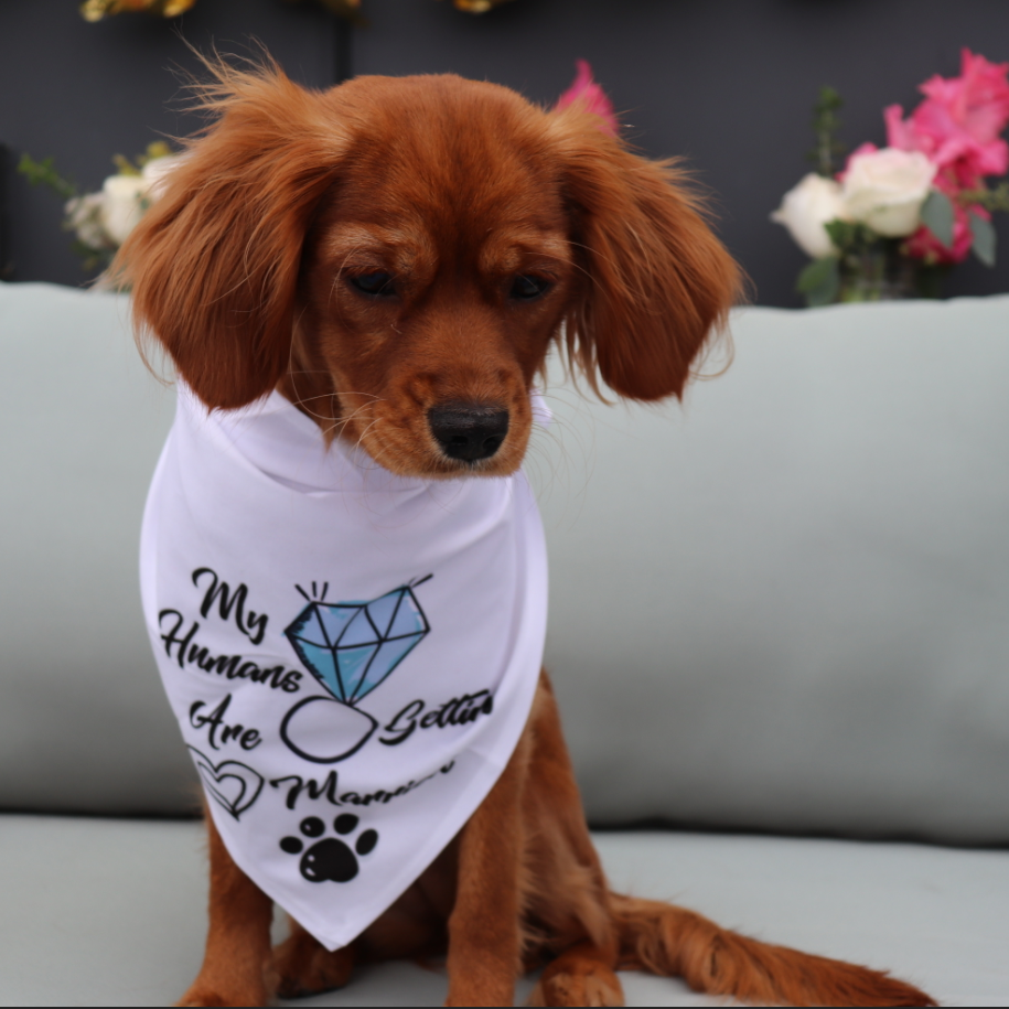 Winnie Said YES to being the flower pup.