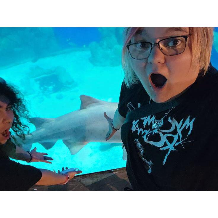 MORE SHARKS!!