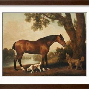 Art.com | Wall Art, Framed Prints, Canvas Paintings & Decor for Sale Online