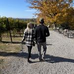 Bowers Harbor Vineyards