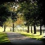 Knox Farm State Park