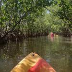 Oleta River State Park