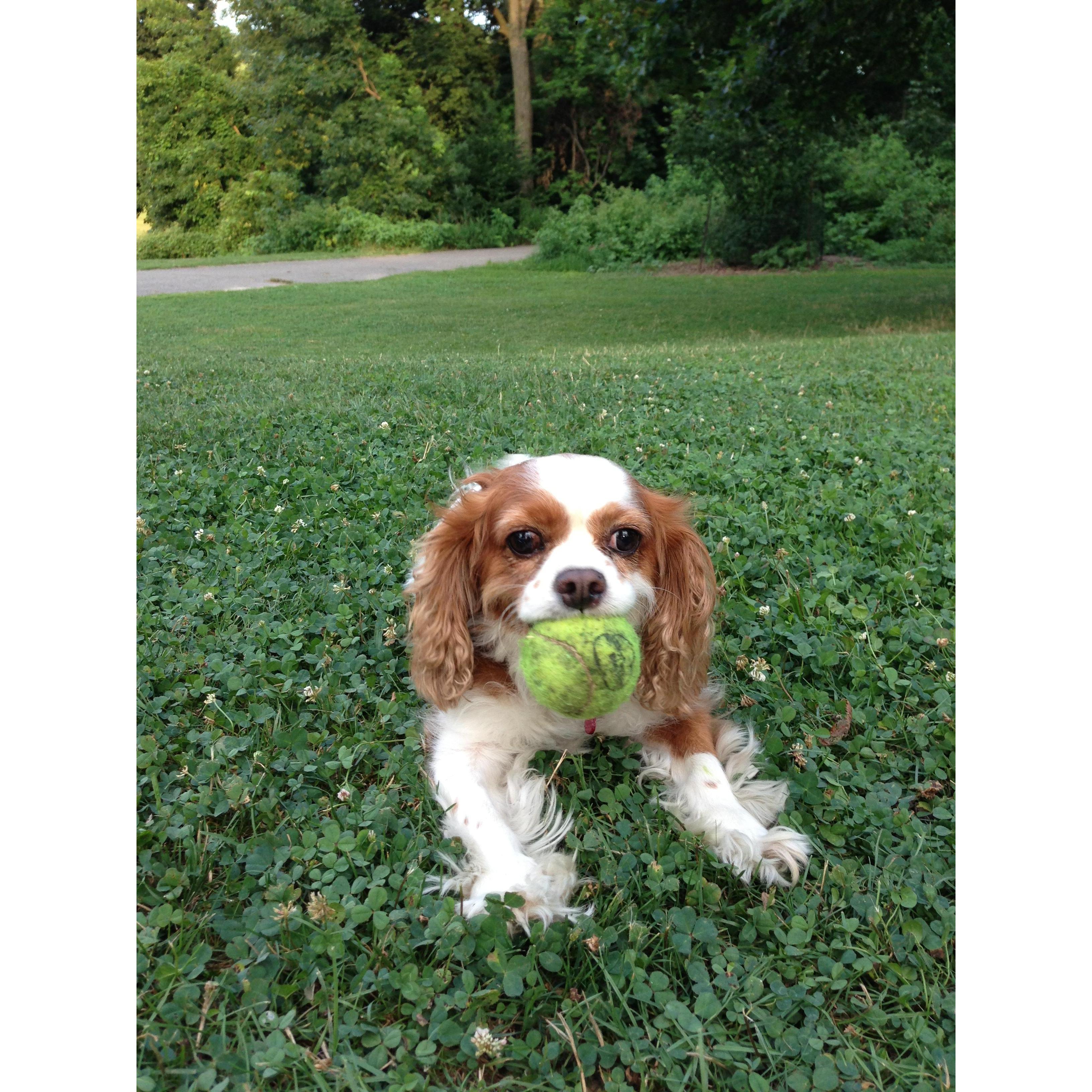 Lola's favorite activity with dad.