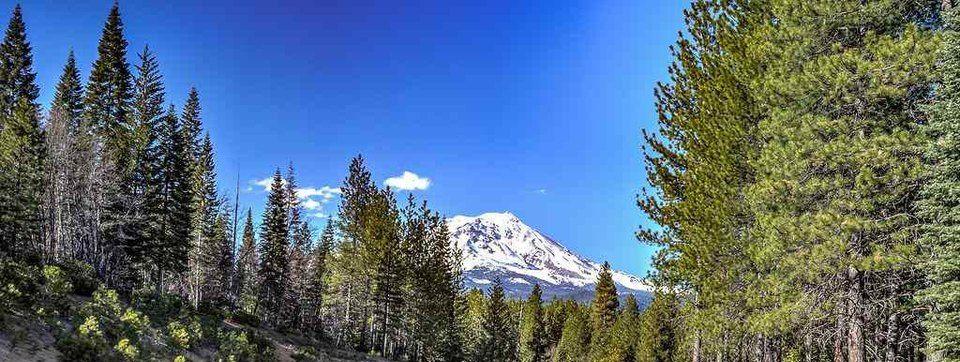 The Wedding Website of Kendra Spurgeon and Ryan Wagner