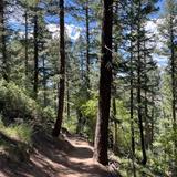 Genesee Park
