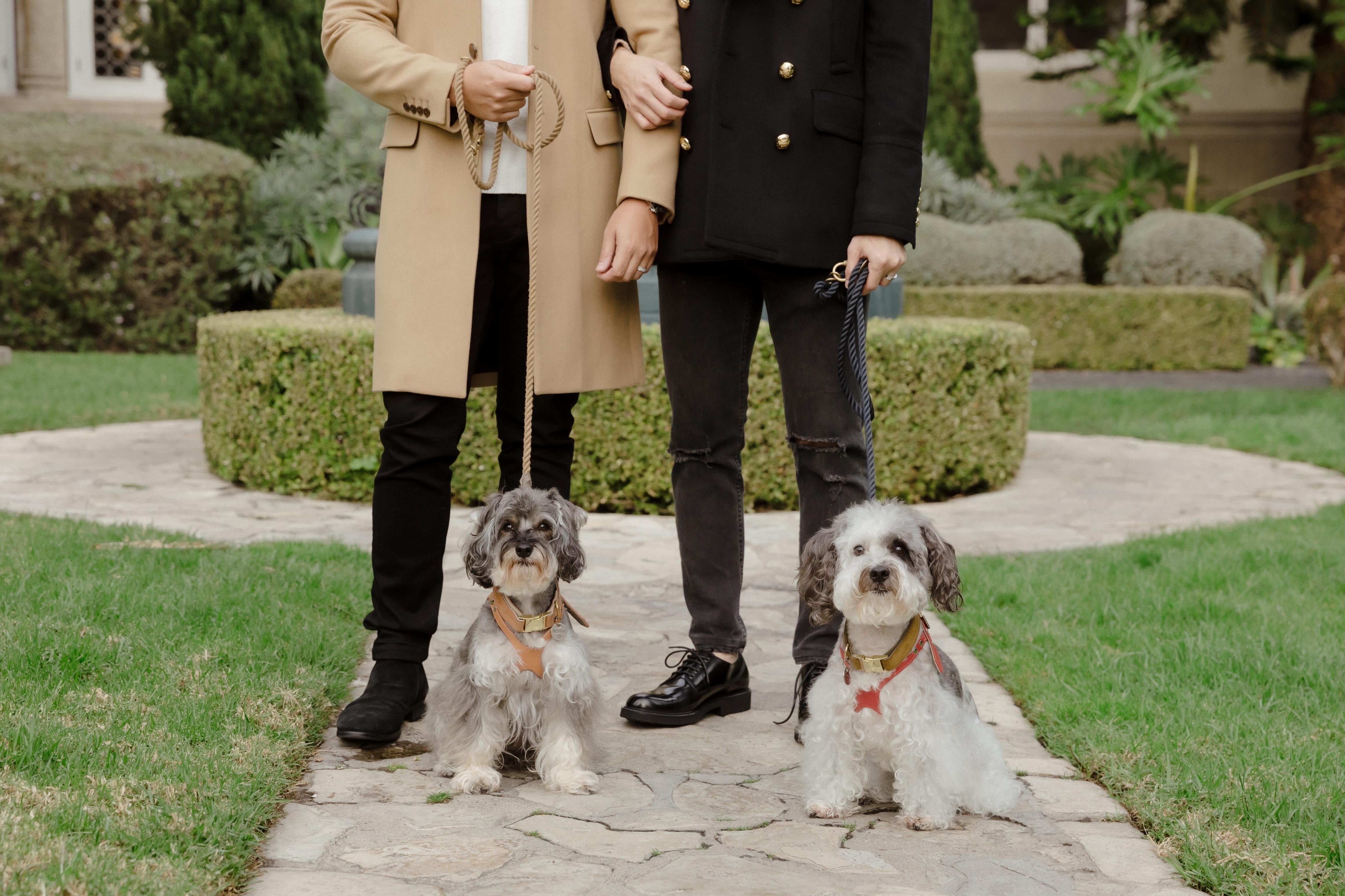 The Wedding Website of Brandon Chang and Christopher Tomaneng
