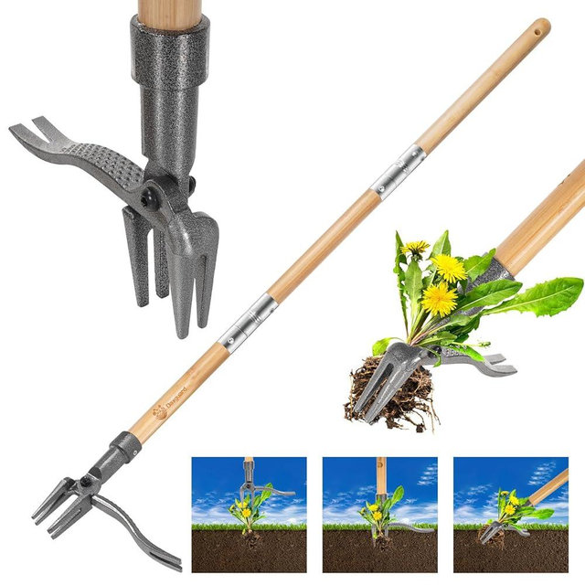 Daxguard Weed Puller-The Original Stand Up Weed Puller Tool,Adjustable 44-31.5" Bamboo Handle with Heavy Duty 4-Claw Cast Steel Head - Foot Step Design, No Bending Required - Garden & Yard Weeder