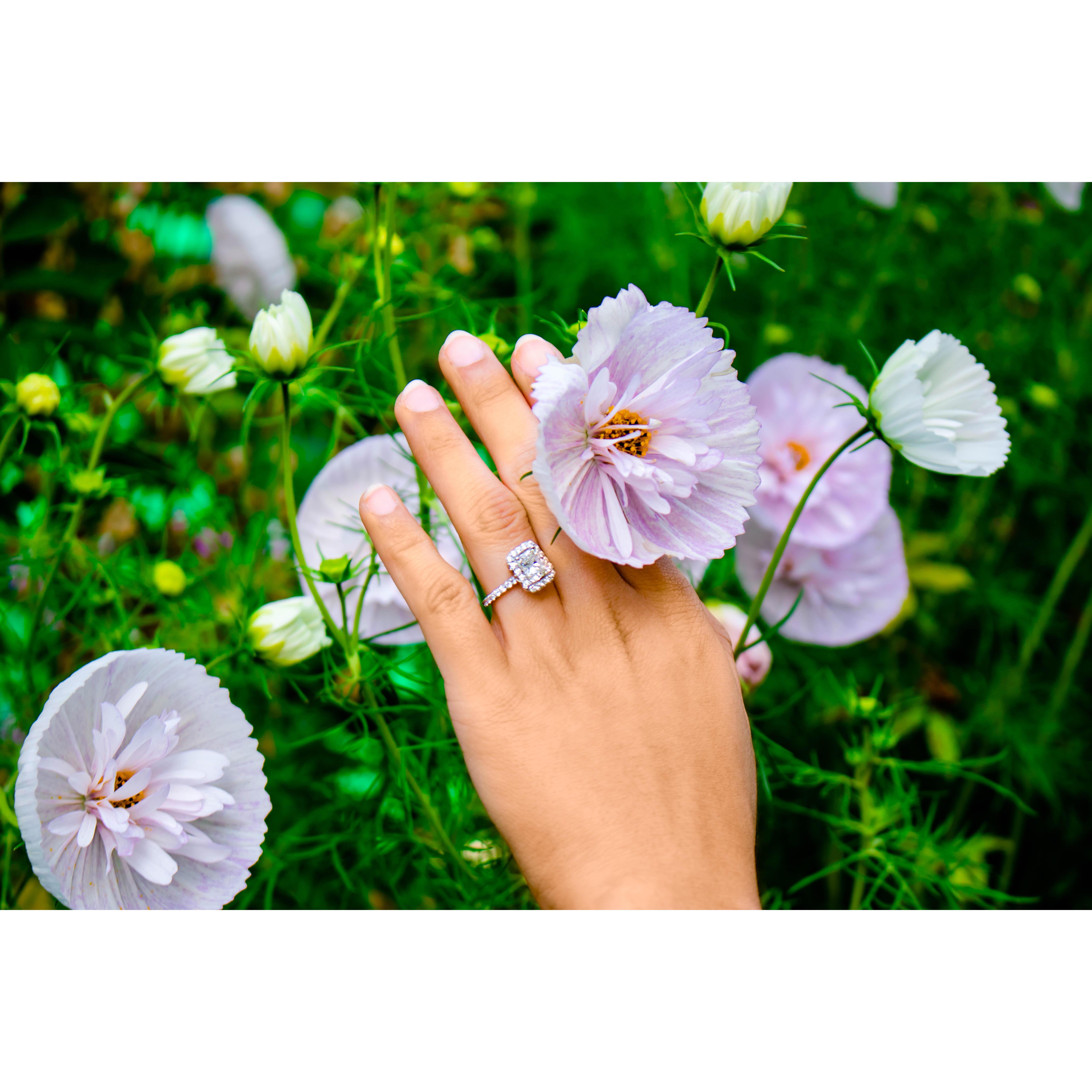 Mai-lan kept it a secret that she wanted to be proposed to in Monet's garden. No one knew at all, but it came to be amazingly.