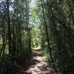 Lion's Den Gorge Nature Preserve