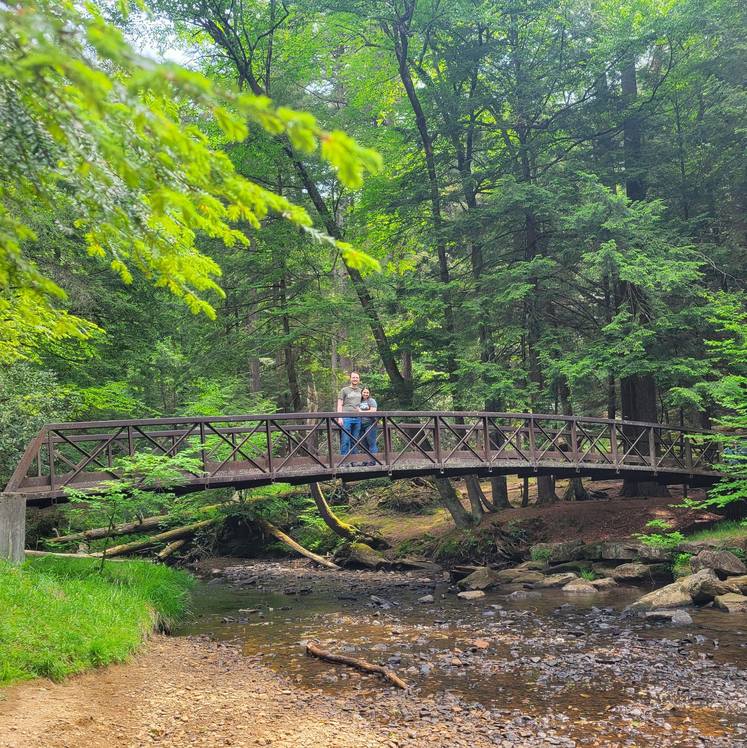 Cook Forest State Park, PA 2023