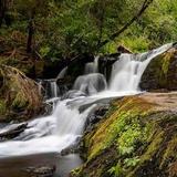 Alsea Falls