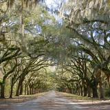 Wormsloe State Historic Site