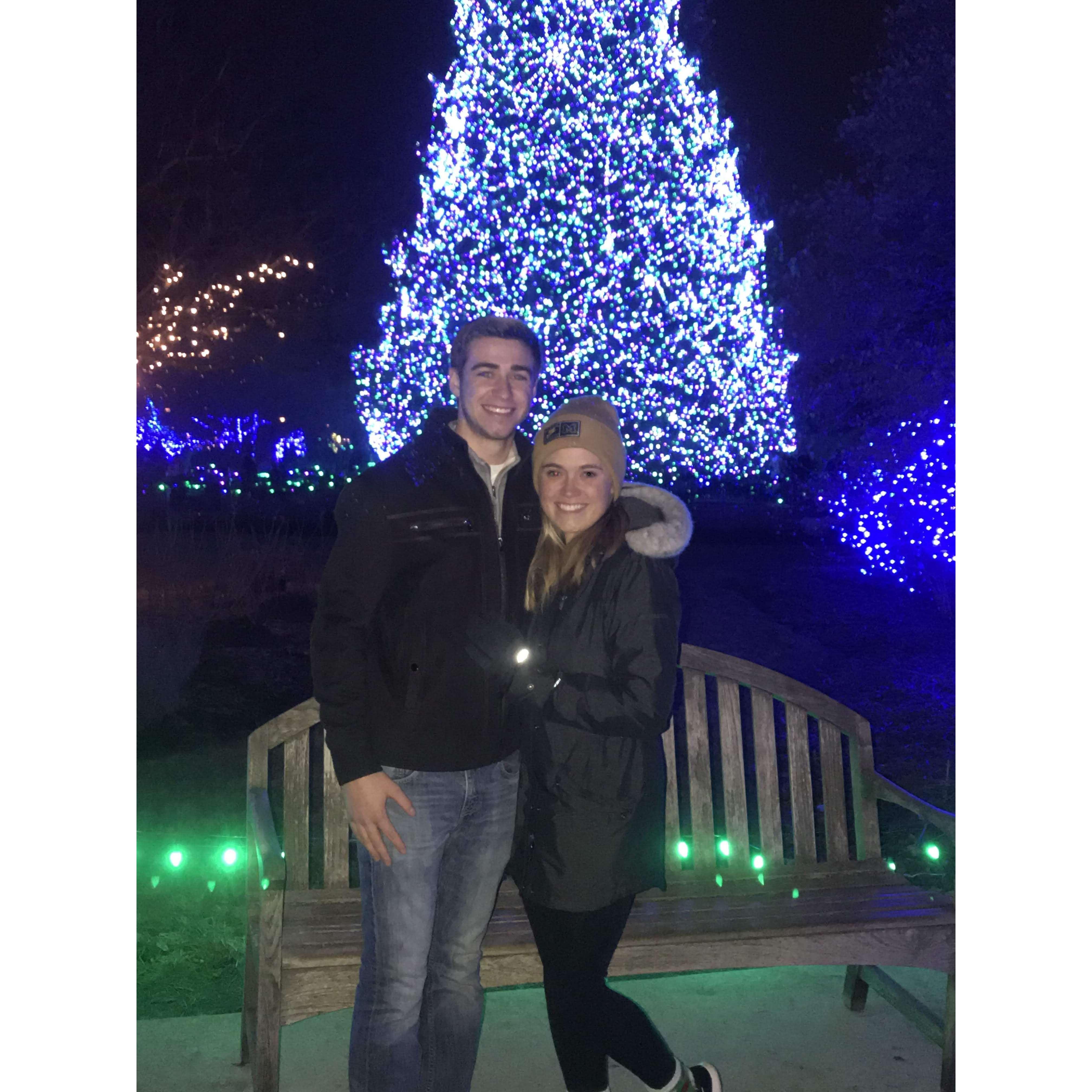 Jacob's first time taking me to the Toledo Zoo Lights