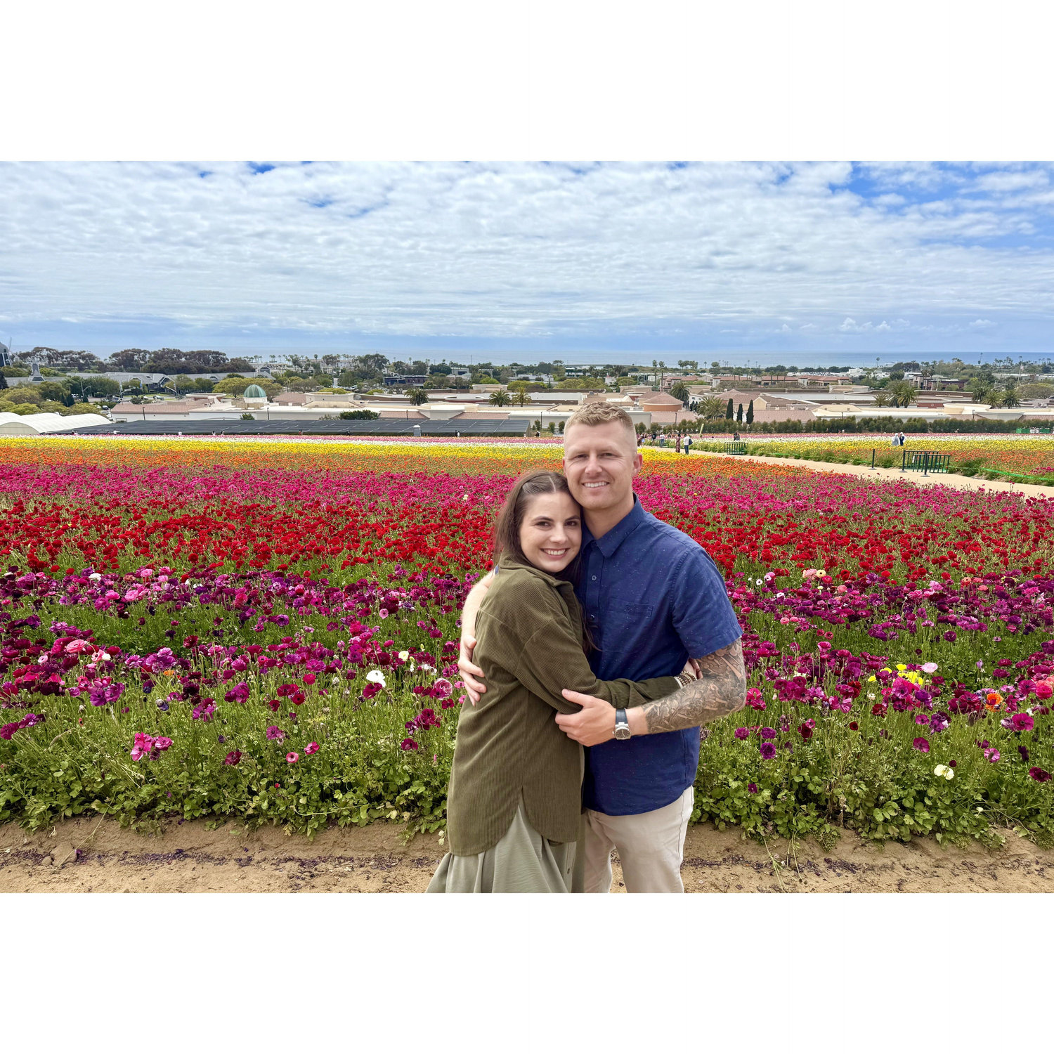 Carlsbad Flower Fields
