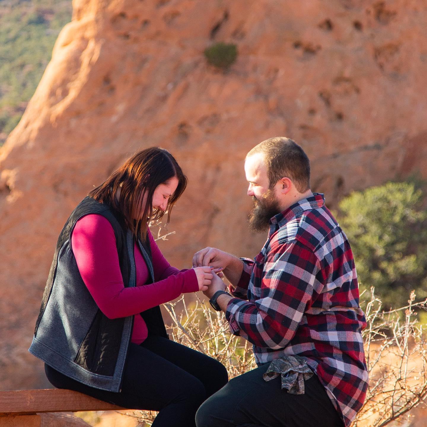 • the proposal •