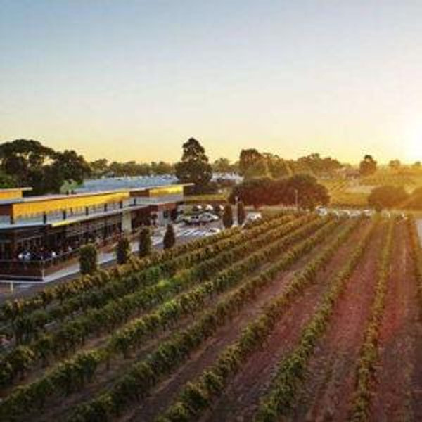 Mandoon Estate Wine Immersion Experience