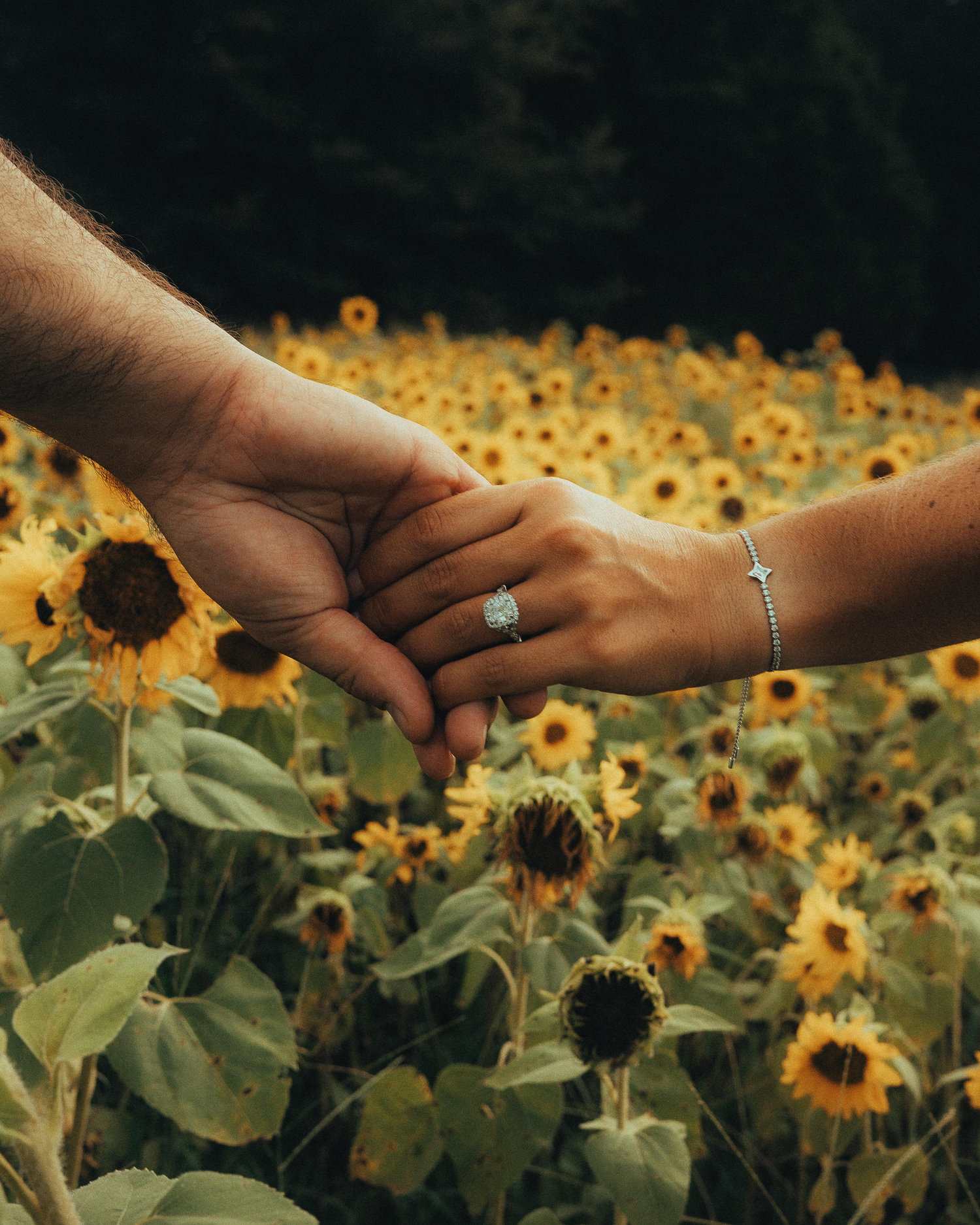 The Wedding Website of Ornella Di Salvo and Jim Kearney