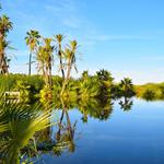 Wildlife Reserve & Estuary