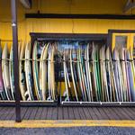 Surf N Sea