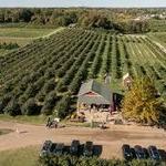 Crane's Pie Pantry Restaurant & Winery