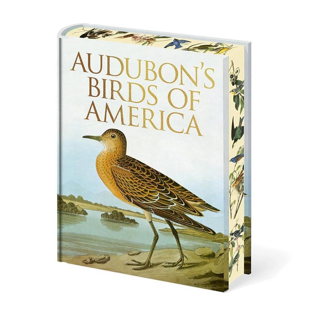Audubon's Birds of America (Arcturus Epic Classics)