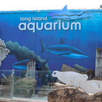 Long Island Aquarium