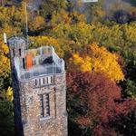 Bowman’s Hill Tower