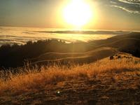 Mount Tamalpais State Park
