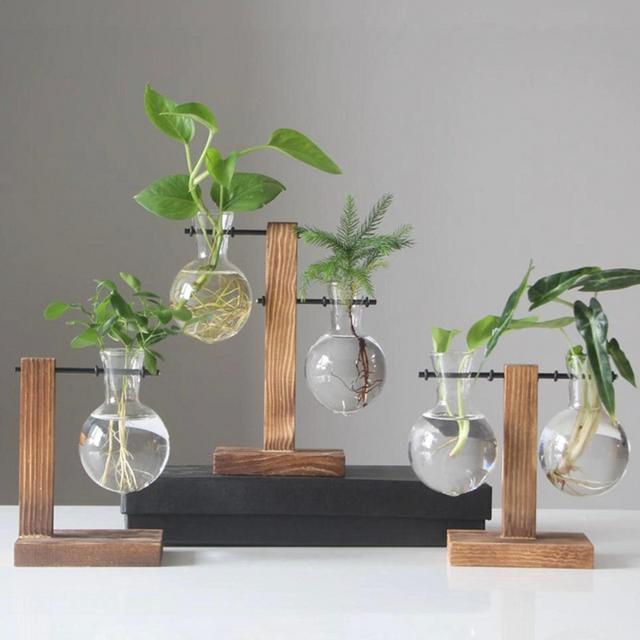 Glass Propagation Vase Bulbs with Wood Stand