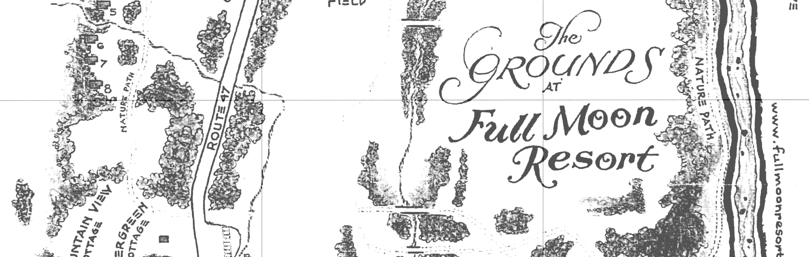 The Wedding Website of Liz Wagner Biro and Timothy Dillon