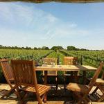 Wölffer Estate Vineyard