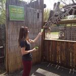 Zoo Boise
