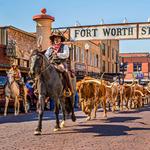 Fort Worth Stockyards