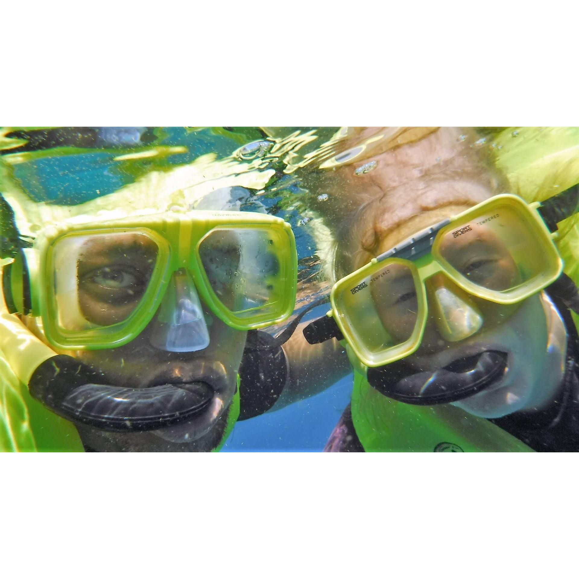 Snorkeling in Key Largo, FL