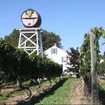 Truro Vineyards