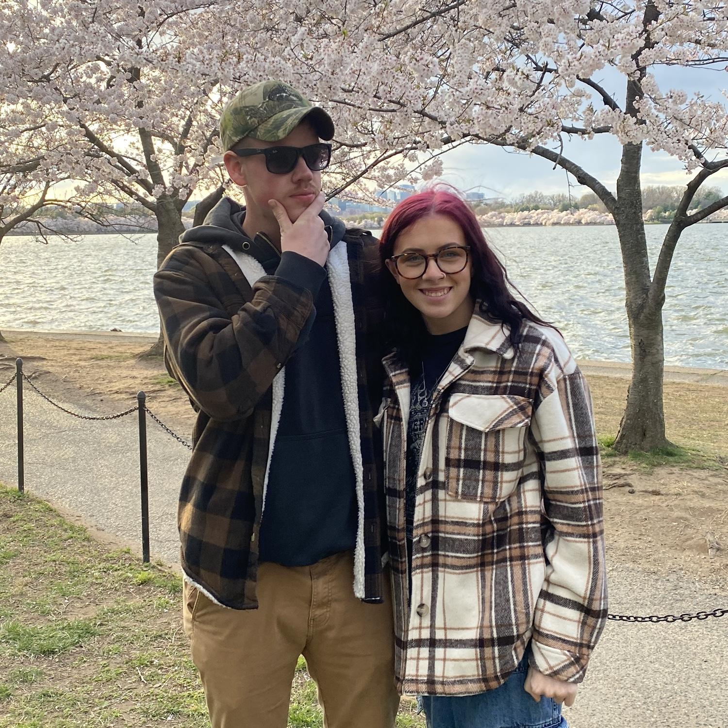 Cherry Blossoms in DC- 2022