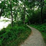 Hiking at Tobyhanna State Park