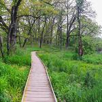 Kettle Moraine State Forest - Lapham Peak Unit