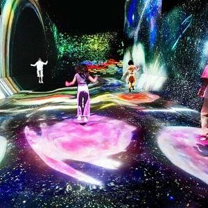 TeamLab Borderless Experience (Famous Museum) and Dinner in Tokyo