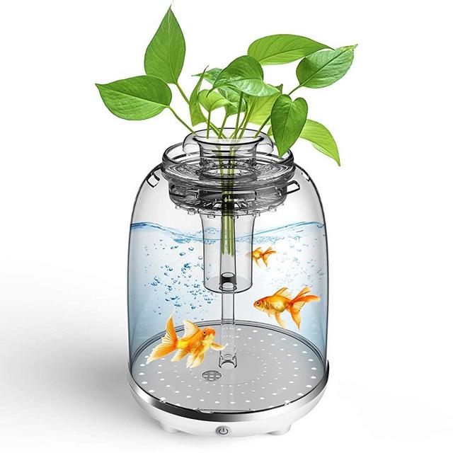 Fish Tank Aquarium Starter Kits 1.45-Gallon Small Aquarium with Automatic LED Lighting (7 Color Choices), Power Filter, Goldfish Tank, Self-Cleaning Fish Tank That Grows Planter( Family Project)